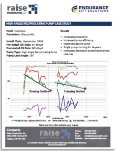 Countess Case Study Picture